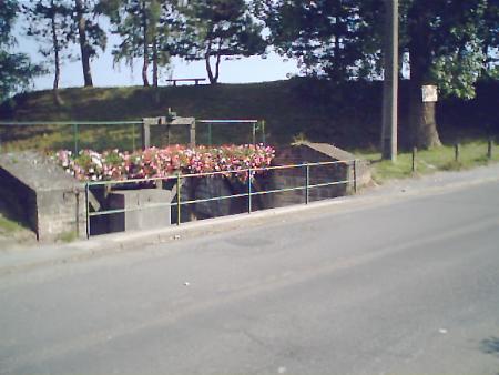 une �cluse avec des fleurs